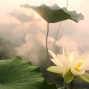 Kinh Chanh Phap Sanghata