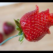 Các pháp hữu vi là vô thường