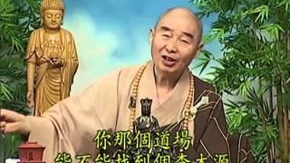 Tập 052 - (HQ) Kinh Đại Thừa Vô Lượng Thọ - Pháp sư Tịnh Không chủ giảng -  cẩn dịch cư sĩ Vọng Tây