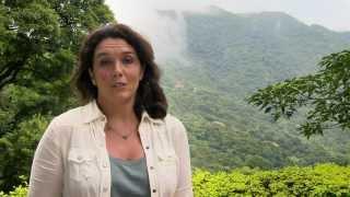 Bảy kỳ Quan Phật Giáo Thế Giới