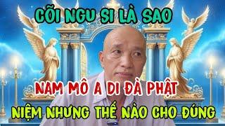 Sư Huynh Ẩn Tu Nói Về Cõi Vu Vi #phatphapnhiemmau3979