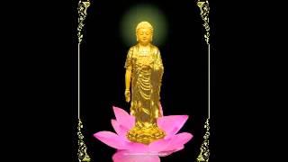 KINH VÔ LƯỢNG THỌ - ĐỌC TỤNG RẤT HAY