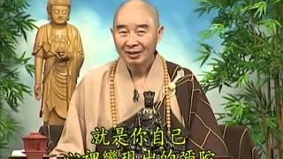 Tập 043- (HQ) Kinh Đại Thừa Vô Lượng Thọ - Pháp sư Tịnh Không chủ giảng -  cẩn dịch cư sĩ Vọng Tây