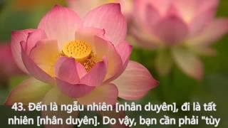 66 Lời Kinh Phật Thật Hay