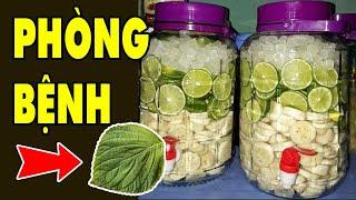 Cách Phòng Chống Đau Yếu Bệnh Tật - Đột Quỵ Từ Bài Thuốc Thần Kỳ | HYT3