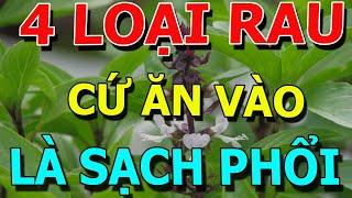 4 LOẠI RAU CỰC BỔ Làm SẠCH PHỔI, Ăn Tới Đâu PHỔI SẠCH TỚI ĐÓ, GAN SẠCH, SỐNG TRƯỜNG THỌ