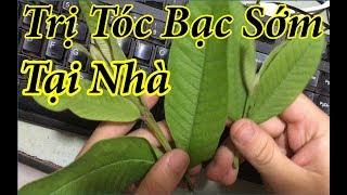 Trị tóc bạc sớm bằng lá ổi, chỉ sau 1 tuần tóc đen hơn cả đi nhuộm