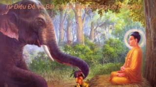 Tứ Diệu Đế & Bát Chánh Đạo