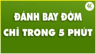ĐÁNH BAY ĐỜM VỚI TUYỆT CHIÊU NÀY AI BỊ ĐỜM NHIỀU NÊN LÀM NGAY  | TCL