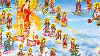 Thần Chú Của Đức Phật A Di Đà giúp bạn dc sinh lên cõi tốt lành,mọi mong cầu đều như mãn...