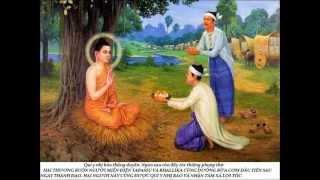 Cuộc đời Đức Phật qua 108 bức tranh 