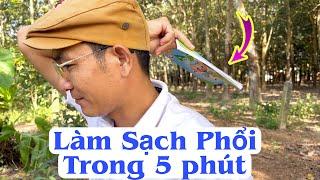 Giúp sạch Phổi trong 5 phút rất hay. Bài thuốc thanh lọc Phổi rất hay. PHAN HẢI Channel