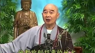 Tập 162 - (HQ) Kinh Đại Thừa Vô Lượng Thọ - Pháp sư Tịnh Không chủ giảng - cẩn dịch cư sĩ Vọng Tây