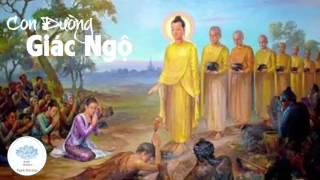 Con Đường Giác Ngộ - Thế Gian Là Vô Thường Hãy Buông Xã