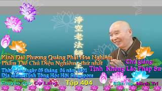 Kinh Đại Phương Quảng Phật Hoa Nghiêm, tập 0404