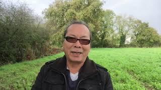 HIỆN TÌNH ĐẤT NƯỚC NGÀY 19/11/2019.   HONG KONG & BIỂN ĐÔNG