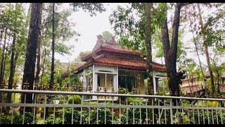 Thăm Thiền sư Thích Nhất Hạnh - Sư Ông Làng Mai ở chùa Từ Hiếu nhân ngày Tiếp nối tuổi 94