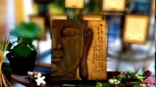 Hội Long Hoa Gần Kề | A Di Đà Phật Kẻo Trể.