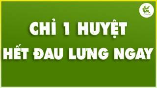 LƯNG ĐAU GỐI MỎI BẤM HUYỆT NÀY GIẢM NGAY TỨC THÌ QUÁ HIỆU QUẢ | TCL