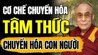 Chuyển Hóa Tâm Thức Nền Tảng Quan Trọng Để Chuyển Hóa Con Người | Thánh Đức Dalai Lama