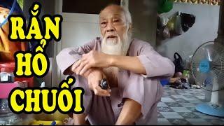 Ông Tư Đền kể chuyện: Rắn Hổ Chuối Cực Độc - An Giang Huyền Bí