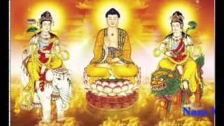 Niem Nam mo A Di Da Phat - Thich Tri Thoat