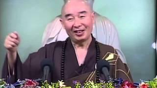 Tập 010 - (HQ) Kinh Đại Thừa Vô Lượng Thọ - Pháp sư Tịnh Không chủ giảng -  cẩn dịch cư sĩ Vọng Tây
