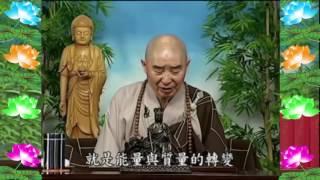 0082 - Kinh Đại Phương Quảng Phật Hoa Nghiêm, tập 0082
