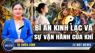 Bí ẩn kinh lạc và sự vận hành của Khí trong cơ thể