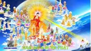 A Di Đà Phật | Thiền Định