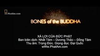 Phim về Xá Lợi của Đức Phật