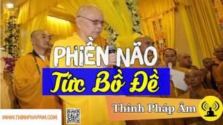 Phiền Não Tức Bồ Đề | HT Thích Từ Thông | (Rất hay nên nghe)