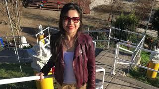 Thien Long Son (Dragon Mountain) in Milpitas CA