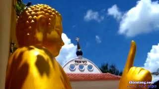 Các pháp môn tu hiện nay sao không giải thoát được ?