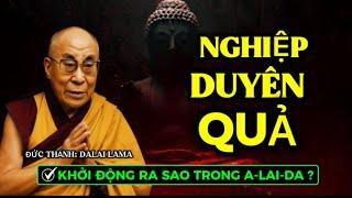 ( Quá Hay ) CHỦNG TỬ ÁC ĐƯỢC GHI VÀO TRƯỜNG PHÁP GIỚI-ĐƯỢC GHI LẠI ĐẦY ĐỦ-KHI ĐỦ NGHIỆP SẼ TRỔ !?