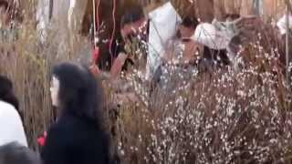 Tet 2015 - Ất Mùi - Tại Bolsa, Orange County. USA