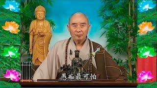 Kinh Đại Phương Quảng Phật Hoa Nghiêm, tập 0098