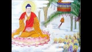 Sấm Giảng Người Đời - Ông Sư Vãi Bán Khoai Phần 16