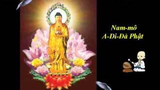 48 Đại Nguyện Của Đức Phật A Di Đà (Bản Việt Văn) - Thích Trí Thoát tụng
