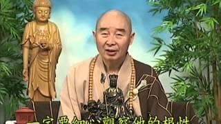Tập 048 - (HQ) Kinh Đại Thừa Vô Lượng Thọ - Pháp sư Tịnh Không chủ giảng -  cẩn dịch cư sĩ Vọng Tây