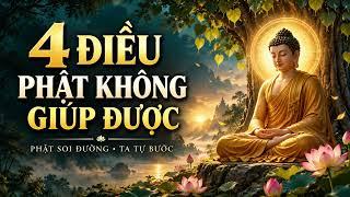 4 Điều Phật Không Giúp Được | Phật Soi Đường, Ta Tự Bước | Nhạc Phật Giáo