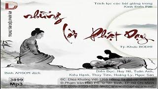 Lời Phật Dạy - Nguồn gốc của các bộ kinh Nikaya (2/49)