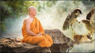 Vị thiền sư khổ tu suốt 49 năm, công quả đổ sông đổ biển chỉ vì đôi chim sẻ