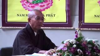 Buông Xả (Kỳ 2) (Giảng Tại Châu Âu, 2013) - Cư Sĩ Diệu Âm