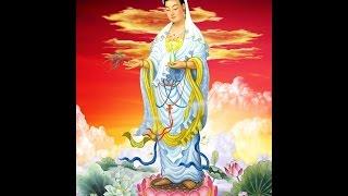 KINH PHỔ MÔN ( FULL ) HD Thầy Thích Trí Thoát Tụng Có Chạy Chữ