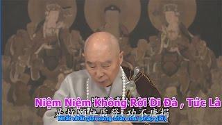 TĐ:2101- Niệm Niệm Không Rời Di Đà , Tức Là Khởi Vô Lượng Tâm
