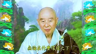 Đại Phương Quảng Phật Hoa Nghiêm Kinh, tập 1568