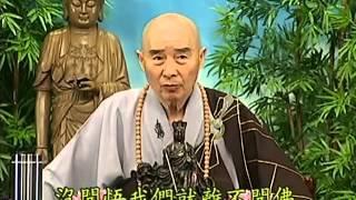Tập 133 - (HQ) Kinh Đại Thừa Vô Lượng Thọ - Pháp sư Tịnh Không chủ giảng -  cẩn dịch cư sĩ Vọng Tây