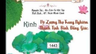Kinh Vô Lượng Thọ Trang Nghiêm Thanh Tịnh Bình Đẳng Giác 1 - DieuPhapAm.Net