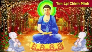 Tìm Lại Chính Mình - Giúp bạn tìm được hướng đi đúng